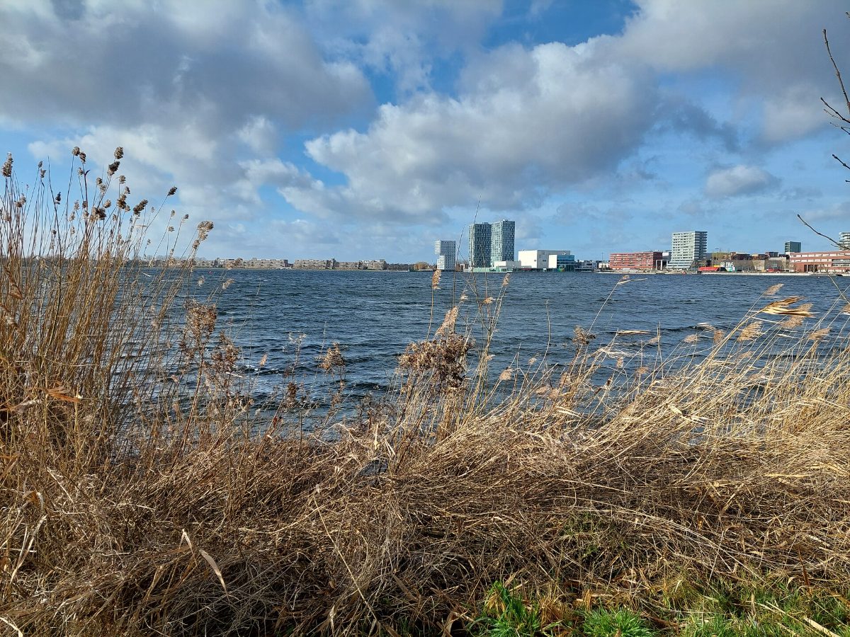De Grote Kerk en het kasteel van Almere weerspiegeld in het water